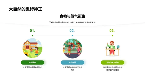 揭秘绿色之源