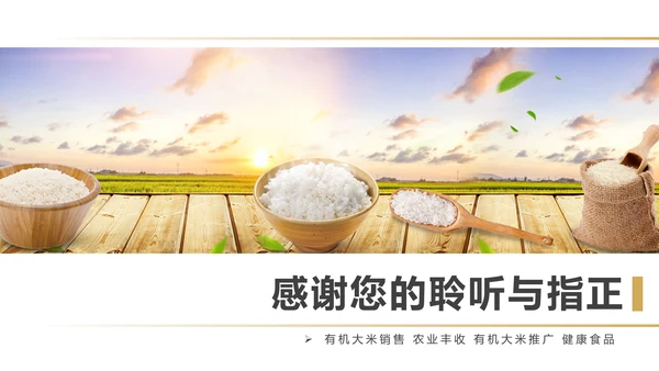健康绿色有机大米农业粮食推广销售PPT模板