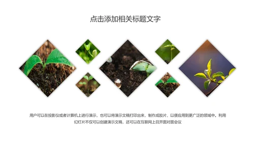 唯美荷花传统文化立春主题班会动态PPT模板