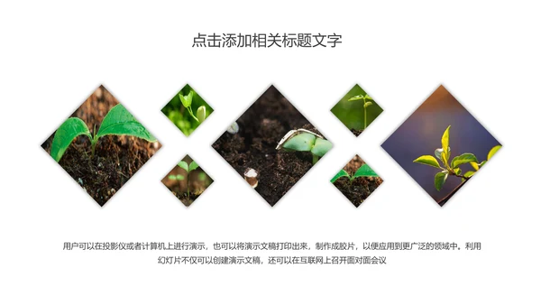 唯美荷花传统文化立春主题班会动态PPT模板