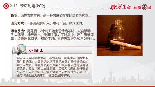 世界禁毒日宣传禁毒知识教学PPT模板