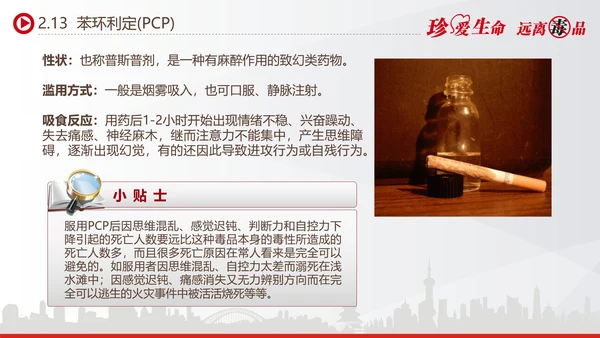 世界禁毒日宣传禁毒知识教学PPT模板