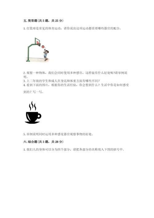 教科版二年级下册科学期末测试卷及答案解析.docx