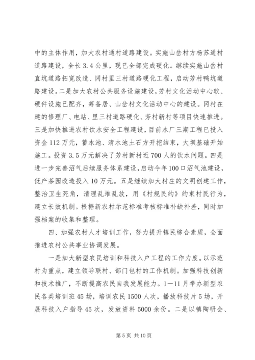 新农办年终总结和来年计划.docx