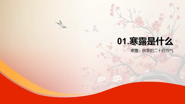 寒露季节的秘密