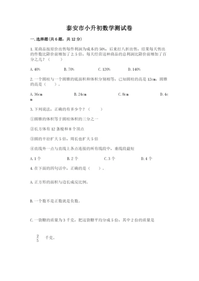 泰安市小升初数学测试卷及参考答案一套.docx