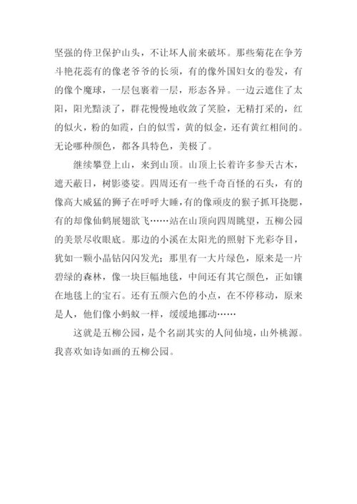夏游五柳公园作文900字.docx