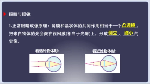 【人教2024版八上物理精彩课堂（课件）】5.6章末复习 (共33张PPT)