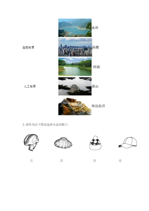 教科版科学二年级上册《期末测试卷》及参考答案【培优a卷】.docx