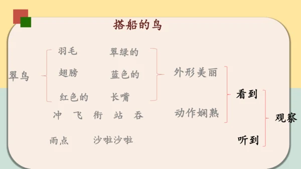 第15课《搭船的鸟》课件