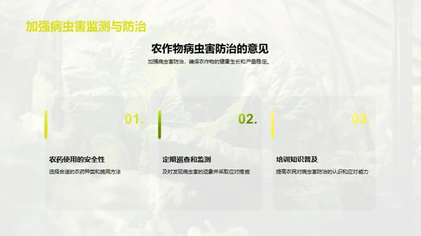 农场种植：现状与未来