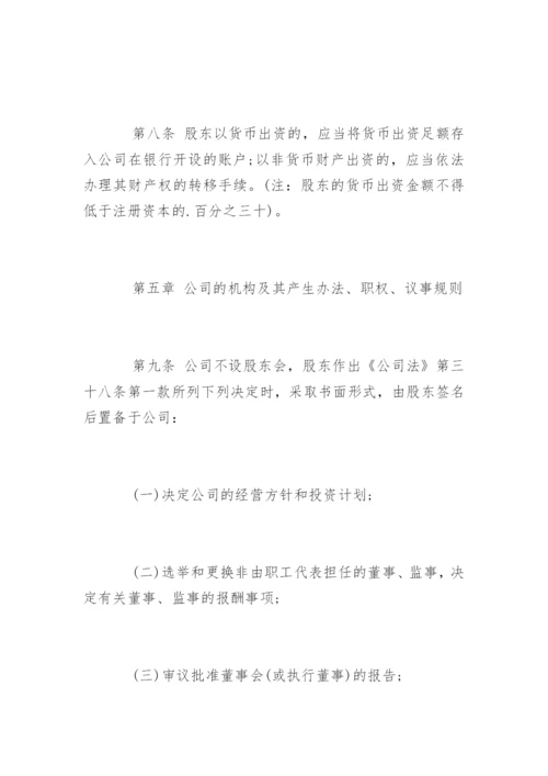 一人公司章程.docx