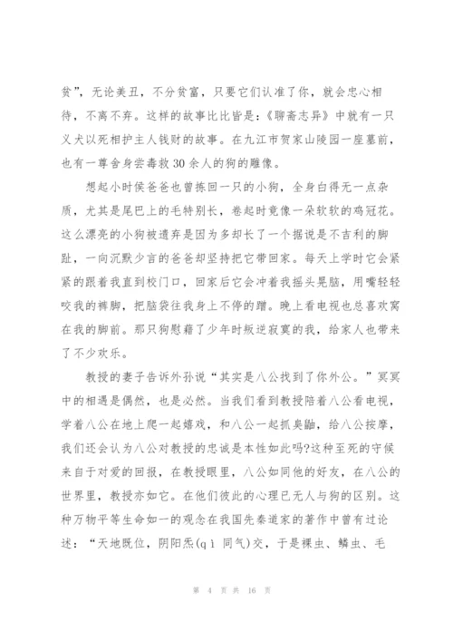 忠犬八公观影心得10篇.docx