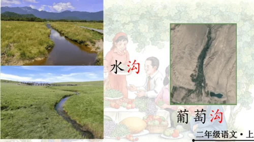 11 葡萄沟   公开课   课件