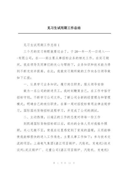 见习生试用期工作总结.docx