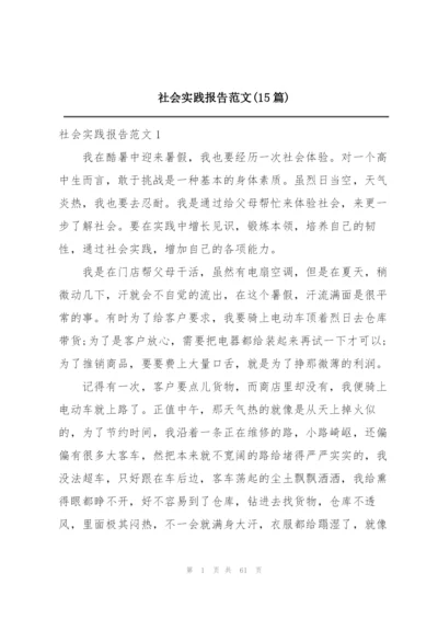 社会实践报告范文(15篇).docx