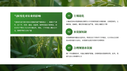 绿色商务农业发展通用PPT模板