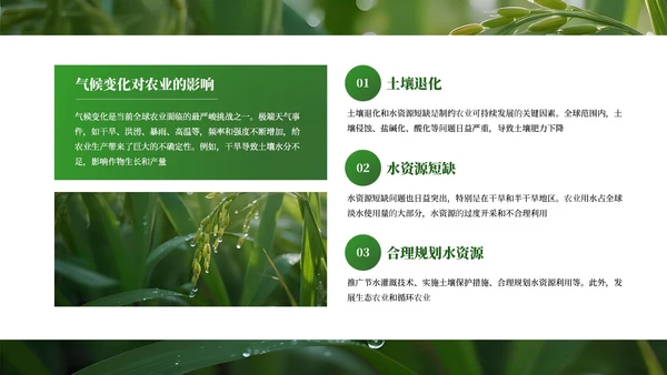 绿色商务农业发展通用PPT模板