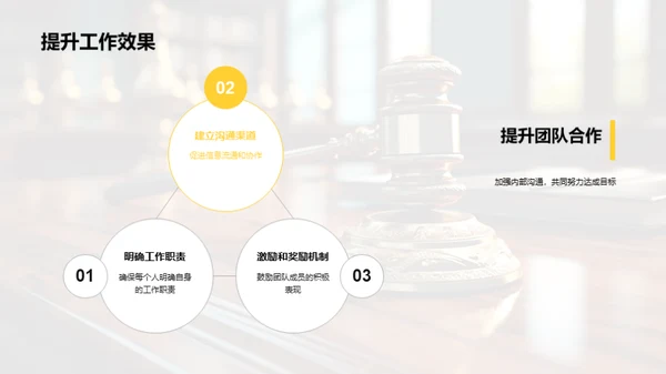 法律领域年度总结