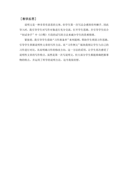 2024年秋五年级上册 习作例文与习作（教案与教学反思）