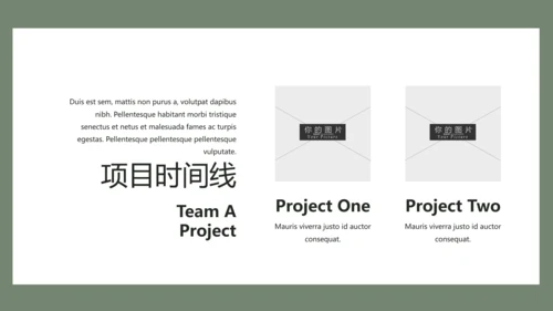 清新典雅绿茶果汁品牌茶文化宣传PPT模板