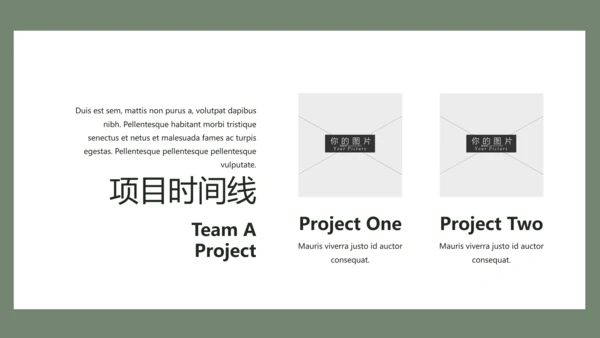 清新典雅绿茶果汁品牌茶文化宣传PPT模板