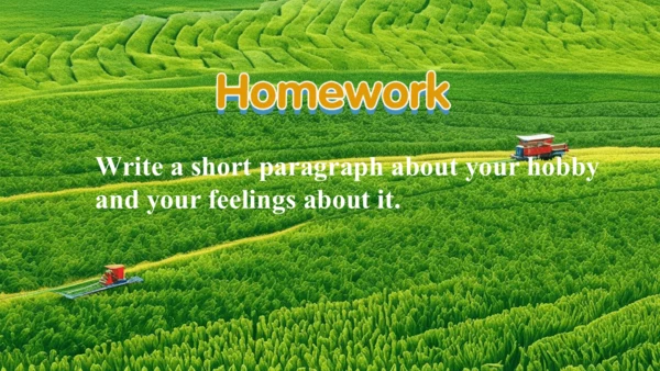 Unit 2 More than fun! Understanding Ideas阅读教学课件【新外