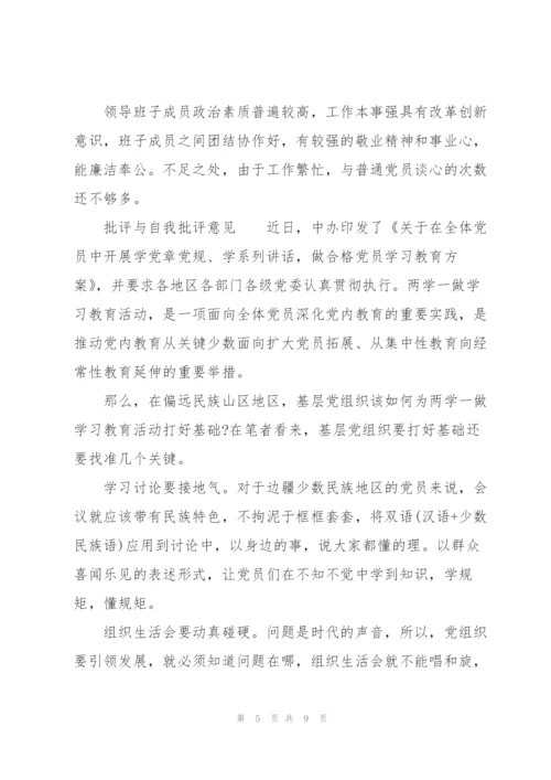 批评与自我批评意见.docx