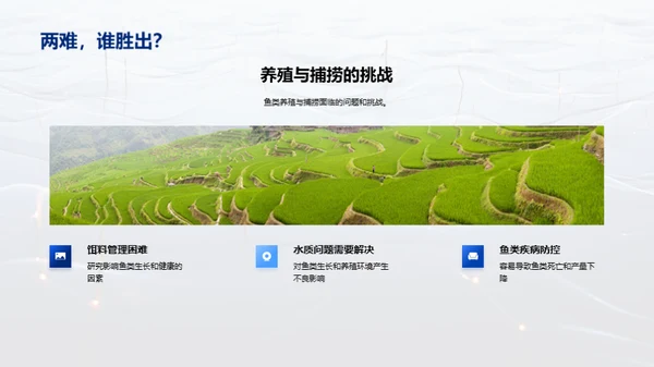 优化鱼塘经营策略