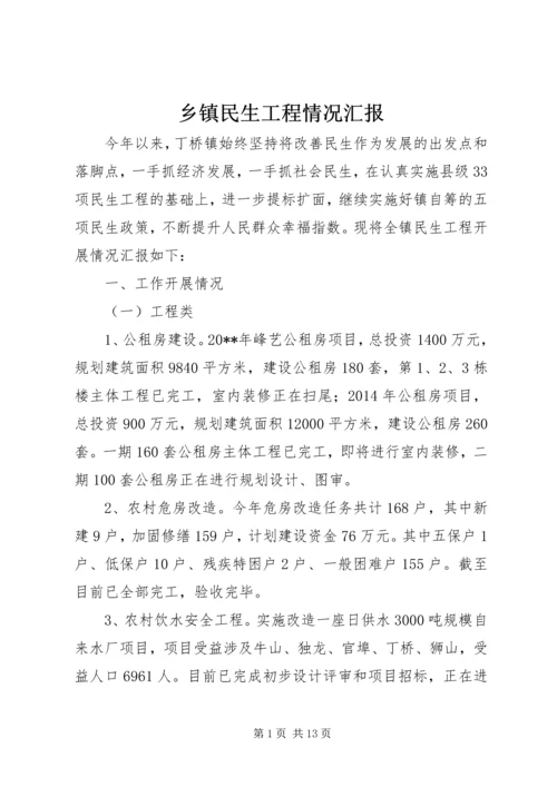 乡镇民生工程情况汇报_1.docx