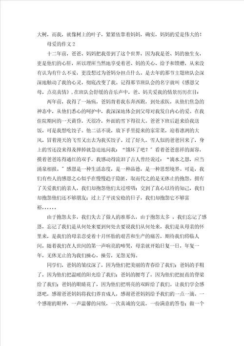 母爱的作文15篇
