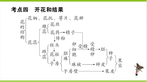 【掌控课堂-创优作业】人教版生物七(上)第三单元 第一、二章总结训练 (课件版)
