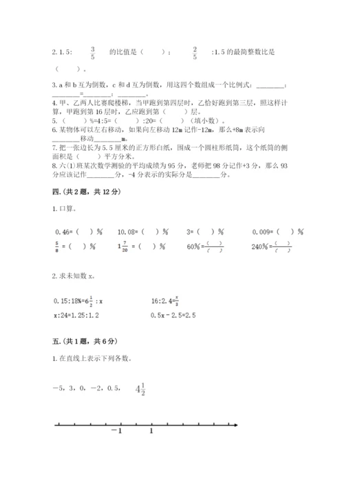 人教版数学六年级下册试题期末模拟检测卷附完整答案（典优）.docx