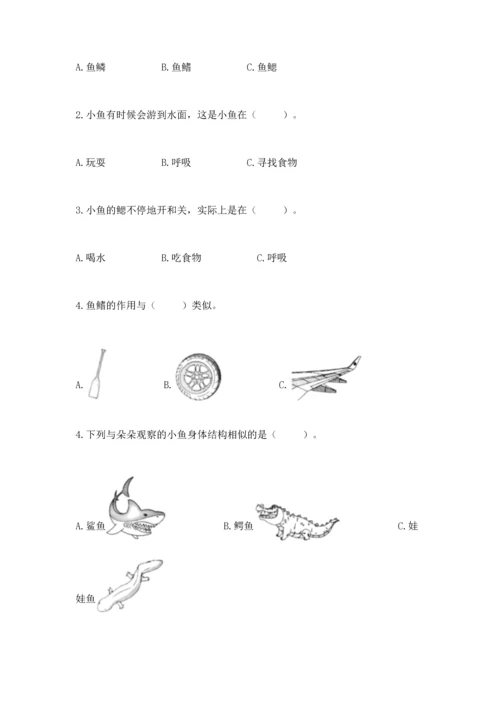 教科版一年级下册科学期末测试卷附参考答案（培优b卷）.docx