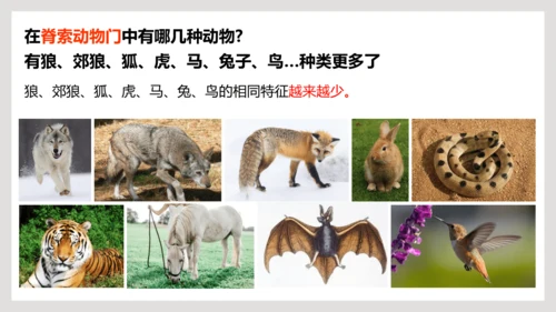 6.1.2+从种到界-【互动课堂】八年级生物上册精品课件（人教版）(共20张PPT)