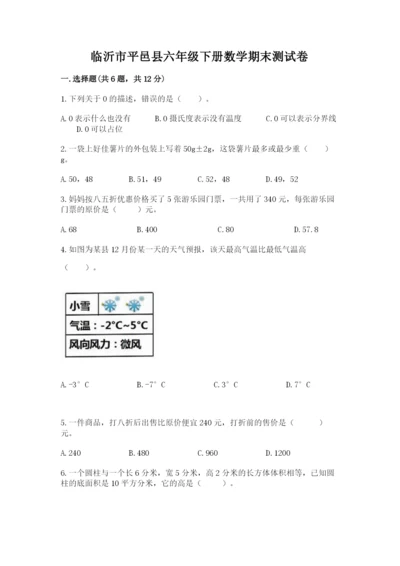 临沂市平邑县六年级下册数学期末测试卷完美版.docx