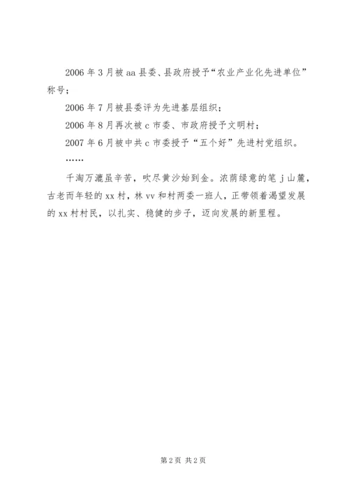 村党支部事迹材料 (7).docx