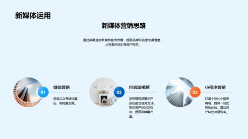 双十二家居盛宴策略
