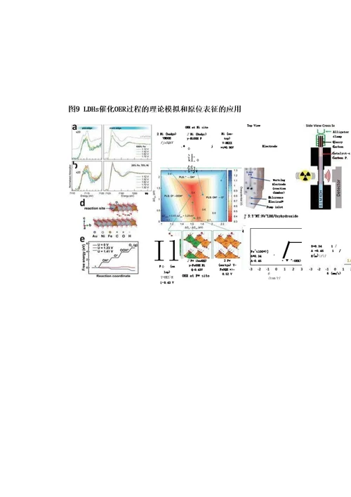 上海理工大学王现英教授团队