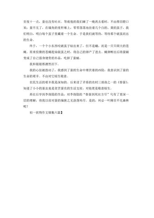 初一状物作文锦集六篇.docx