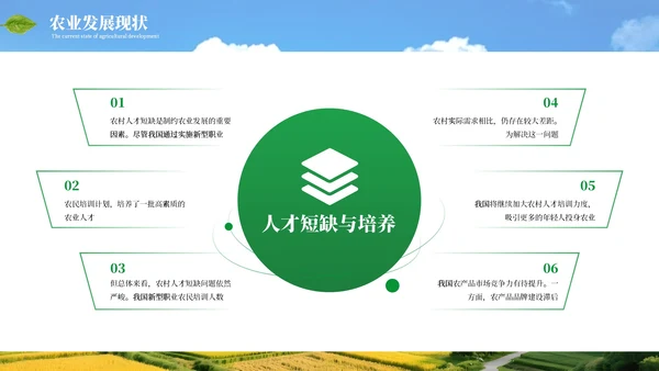绿色商务农业发展乡村振兴通用PPT模板