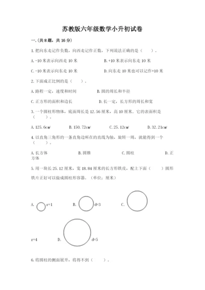 苏教版六年级数学小升初试卷精品（典优）.docx