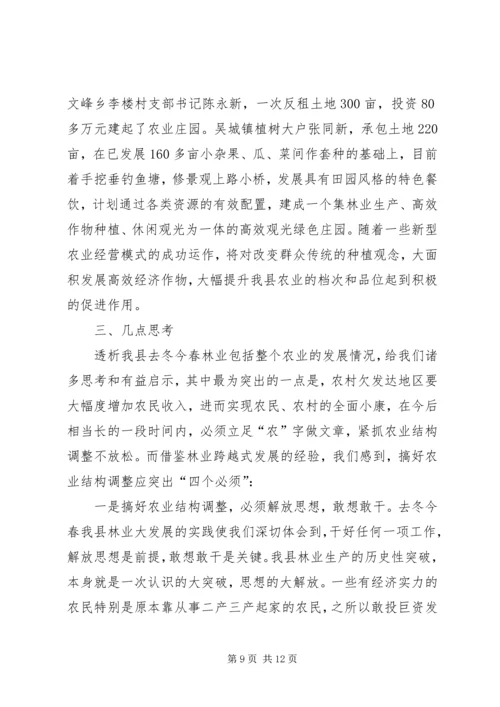 关于XX县大力发展林业生产全面激活农村经济的实践与思考 (2).docx