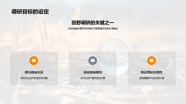 田野调研与农业优化