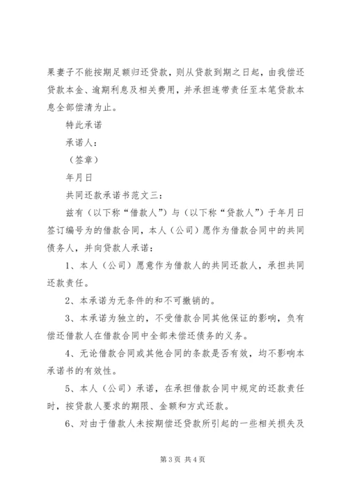 共同还款人承诺书 (2).docx