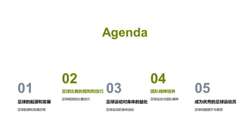 足球运动的魅力