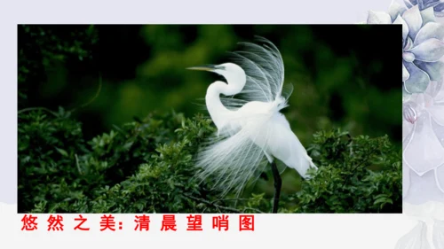 《1 白鹭》课件