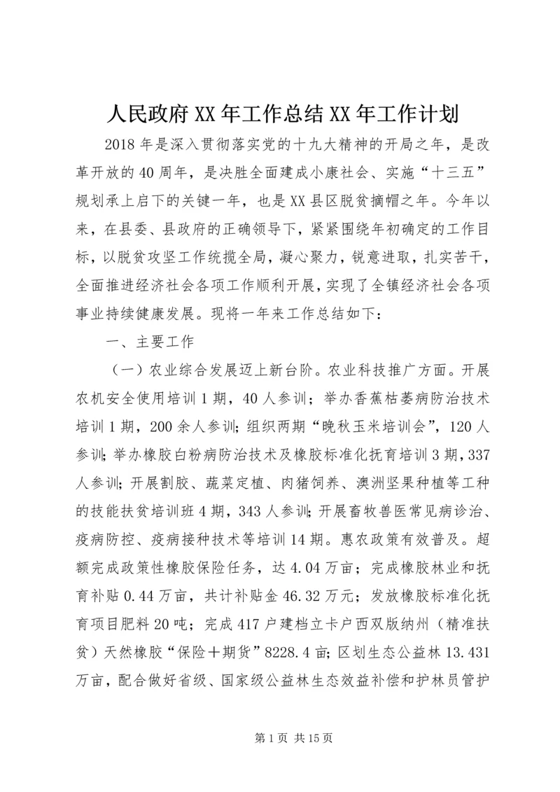 人民政府某年工作总结某年工作计划.docx