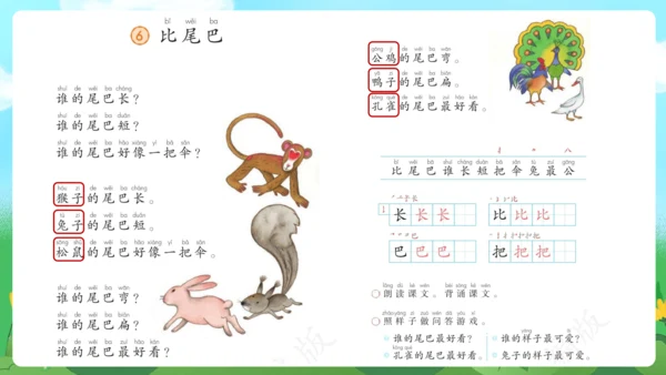课文6《比尾巴》（教学课件）