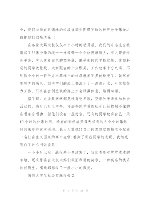 寒假大学生社会实践报告（五篇）.docx